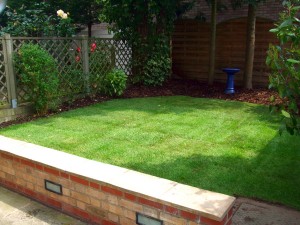 ... and AFTER! ... and AFTER!